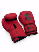 Chosen FIRST Boxing Gloves-red